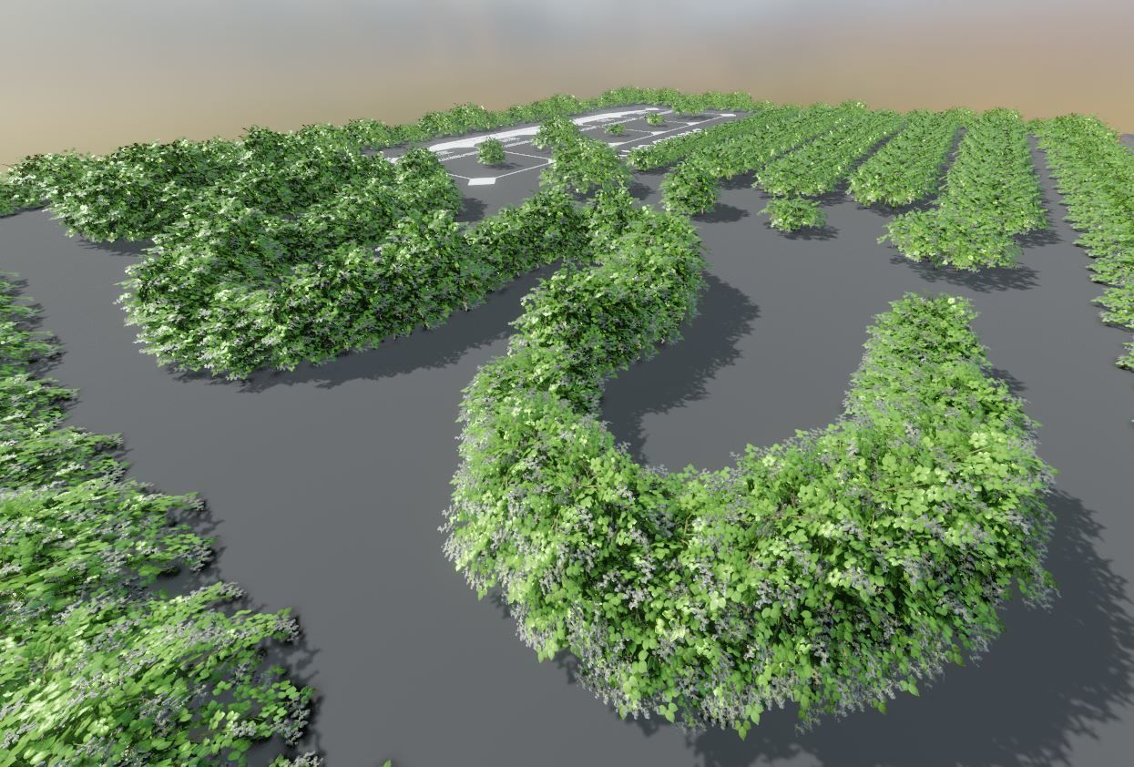 Privet Ligustrum - Rasberry - Blackberry Bushes and Hedges 3D Model Collection_35