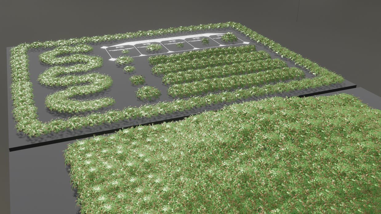 Privet Ligustrum - Rasberry - Blackberry Bushes and Hedges 3D Model Collection_51