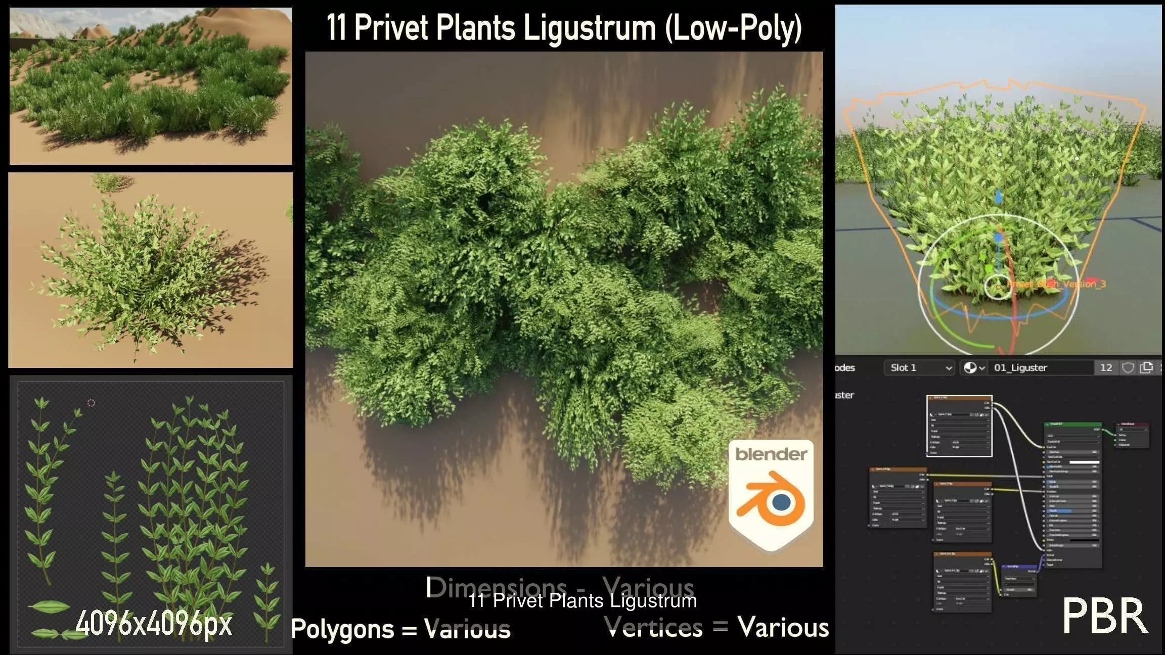 Privet Ligustrum - Rasberry - Blackberry Bushes and Hedges 3D Model Collection_0