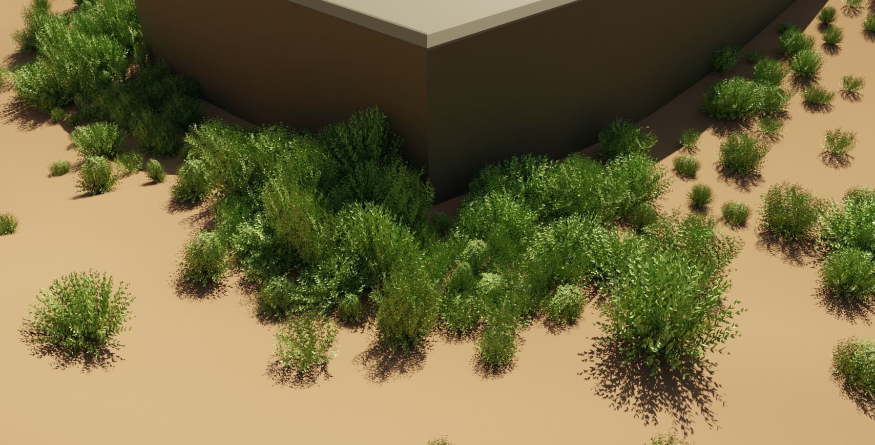 Privet Ligustrum - Rasberry - Blackberry Bushes and Hedges 3D Model Collection_22