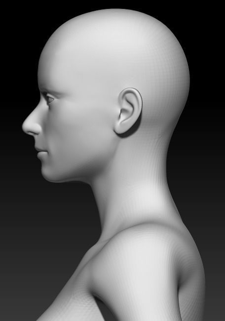 Female Base Mesh 12 3D model_6