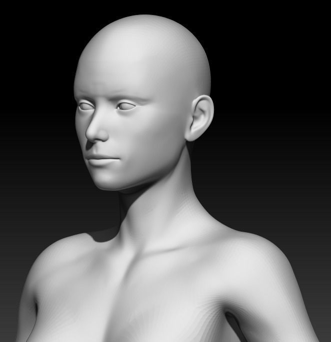 Female Base Mesh 12 3D model_5