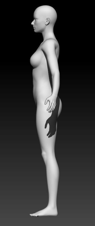 Female Base Mesh 12 3D model_2