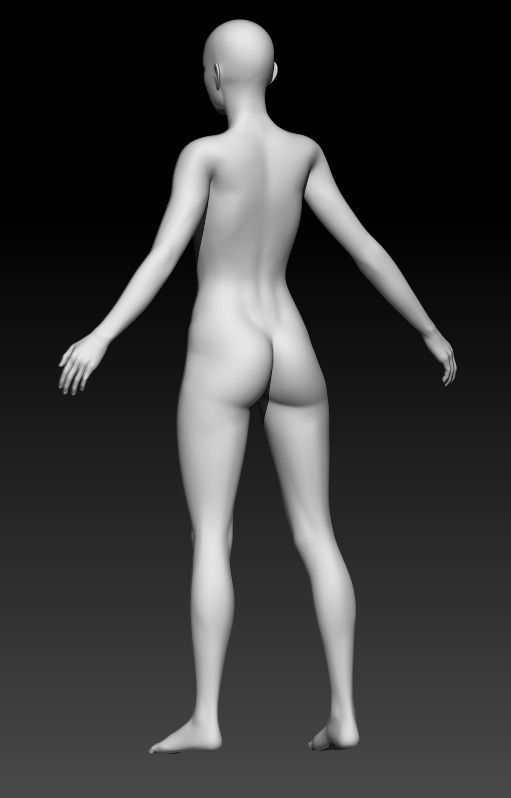 Female Base Mesh 12 3D model_3