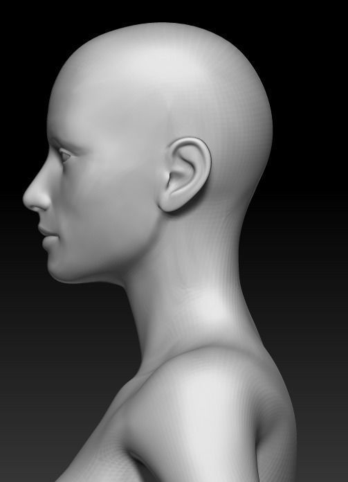Female Base Mesh 13 3D model_6