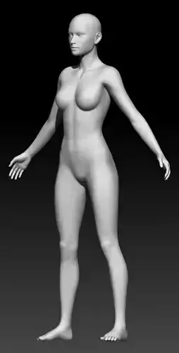 Female Base Mesh 13 3D model Female Base Mesh 13 3D model