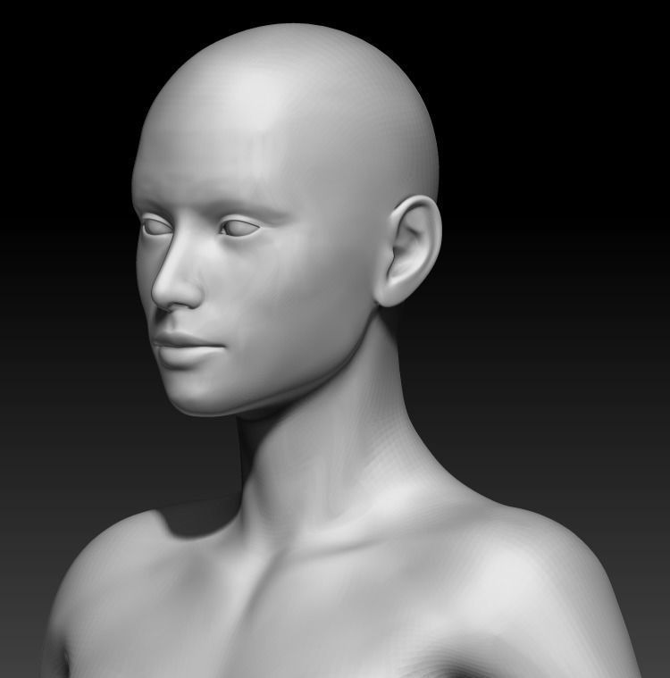 Female Base Mesh 13 3D model_5