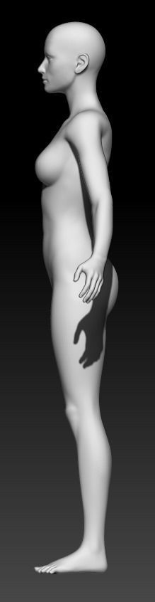 Female Base Mesh 13 3D model_2