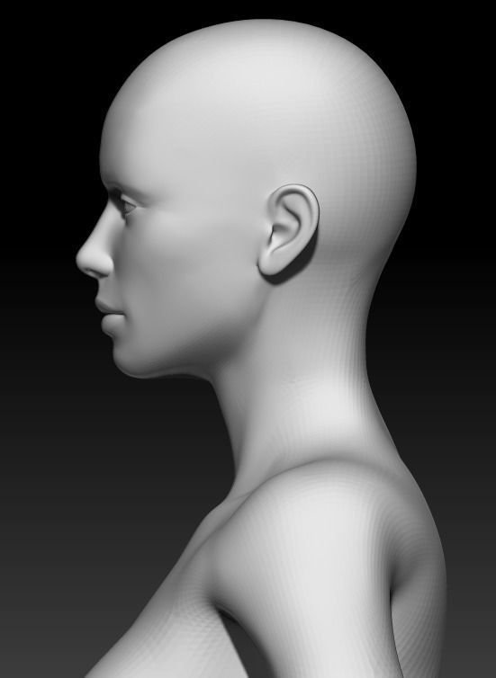 Female Base Mesh 14 3D model_6