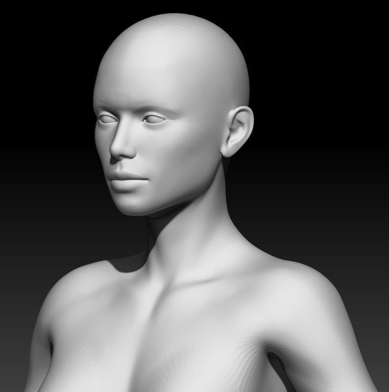 Female Base Mesh 14 3D model_5