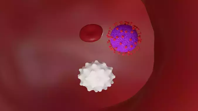 Blood Cells and Virus in Blood Vessel