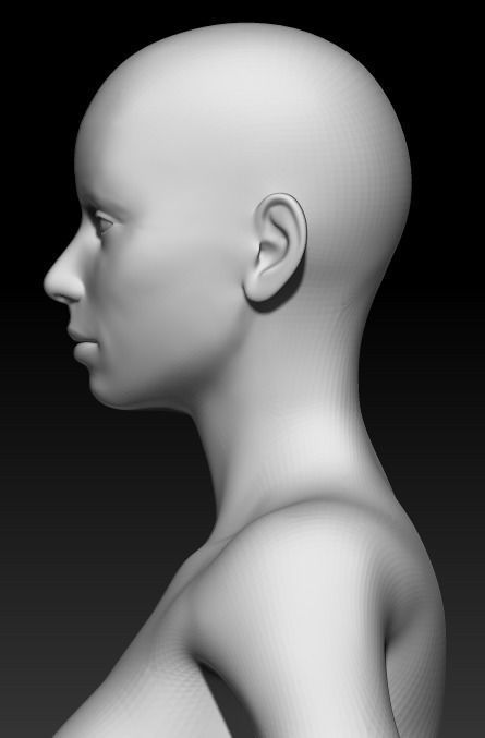 Female Base Mesh 15 3D model_6