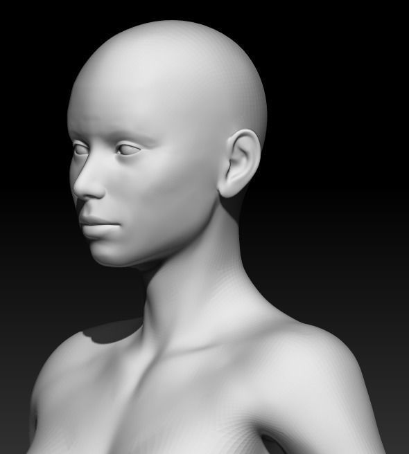 Female Base Mesh 15 3D model_5