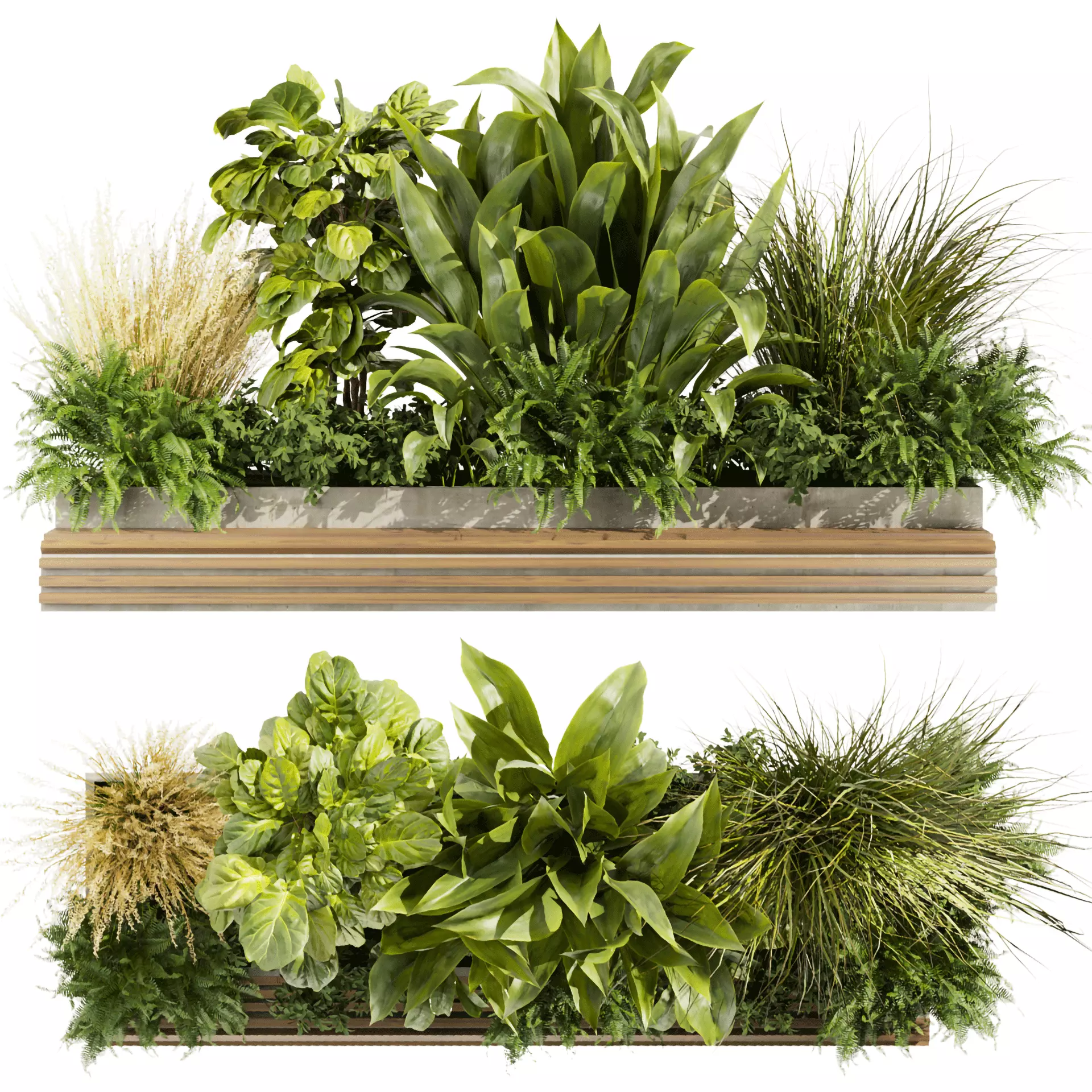 Collection plant vol 496 - garden - leaf - banana - wood 3D model