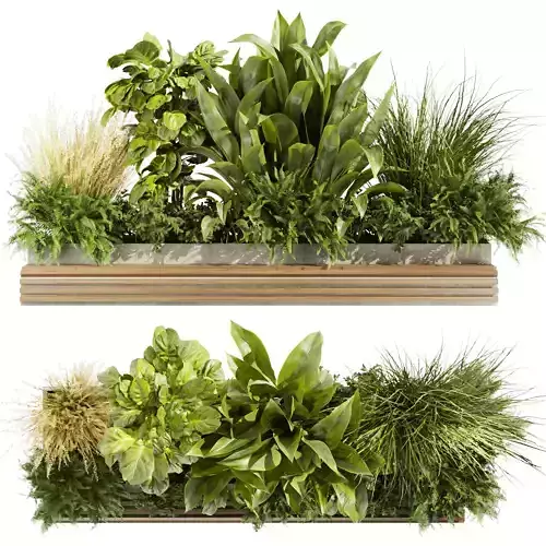 Collection plant vol 496 - garden - leaf - banana - wood