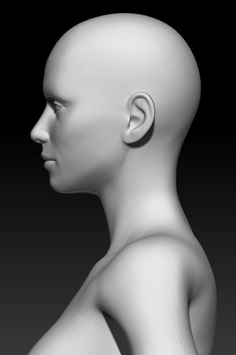 Female Base Mesh 16 3D model_6