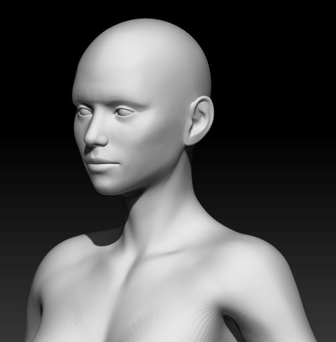 Female Base Mesh 16 3D model_5