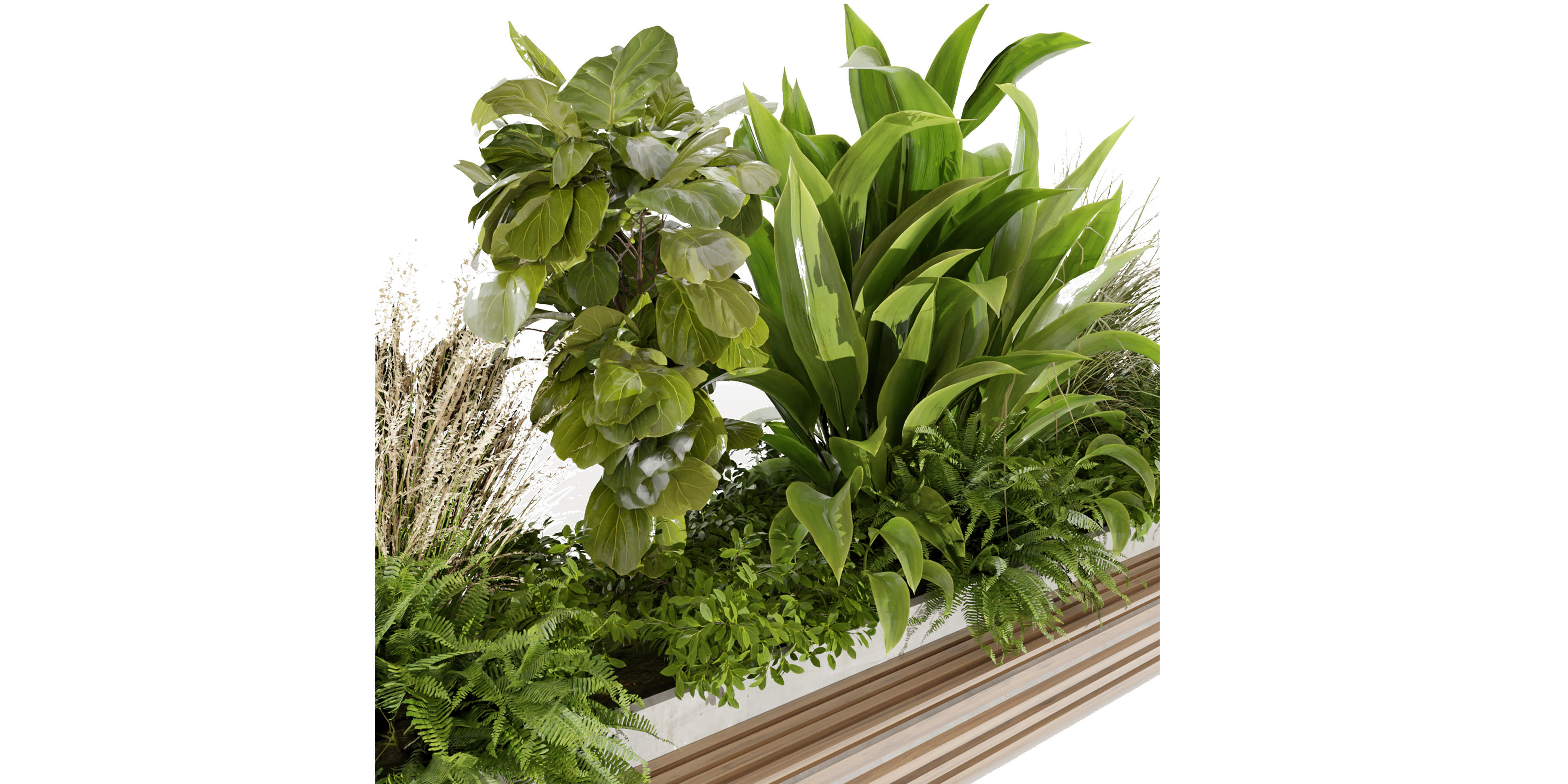 Collection plant vol 496 - garden - banana - blender model 3D model_1