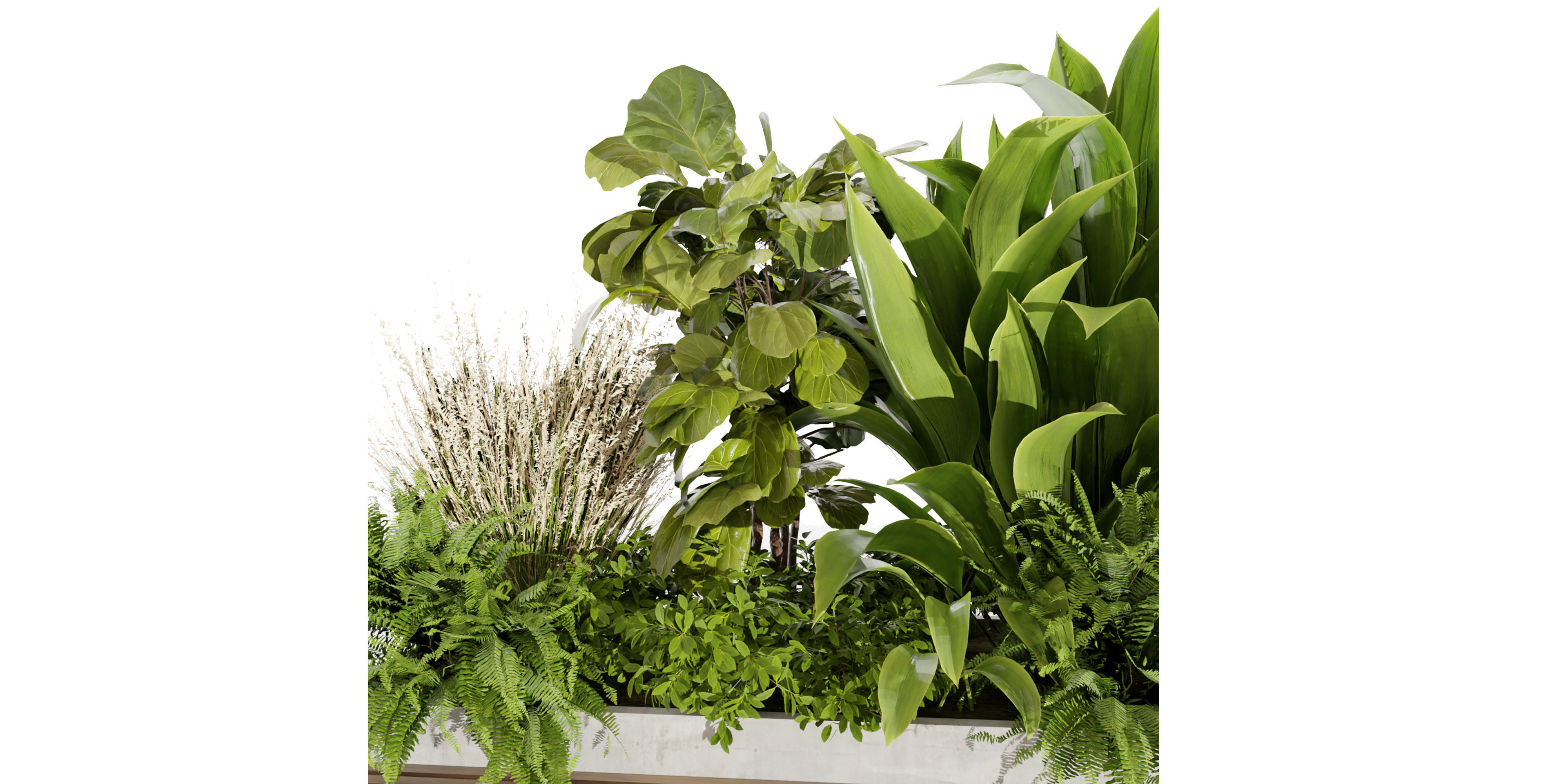 Collection plant vol 496 - garden - banana - blender model 3D model_3