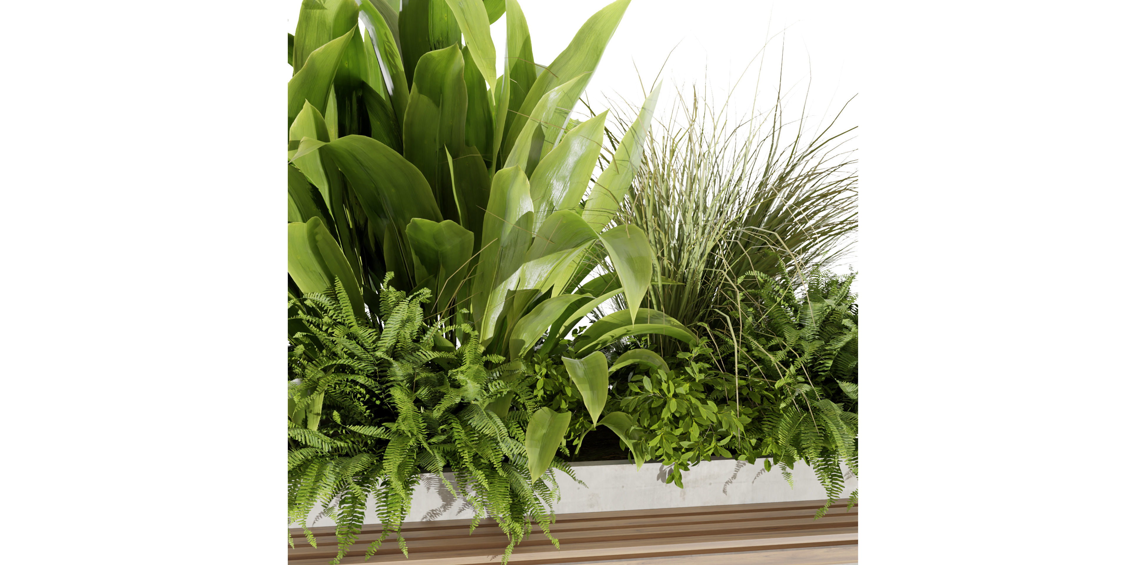 Collection plant vol 496 - garden - banana - blender model 3D model_2