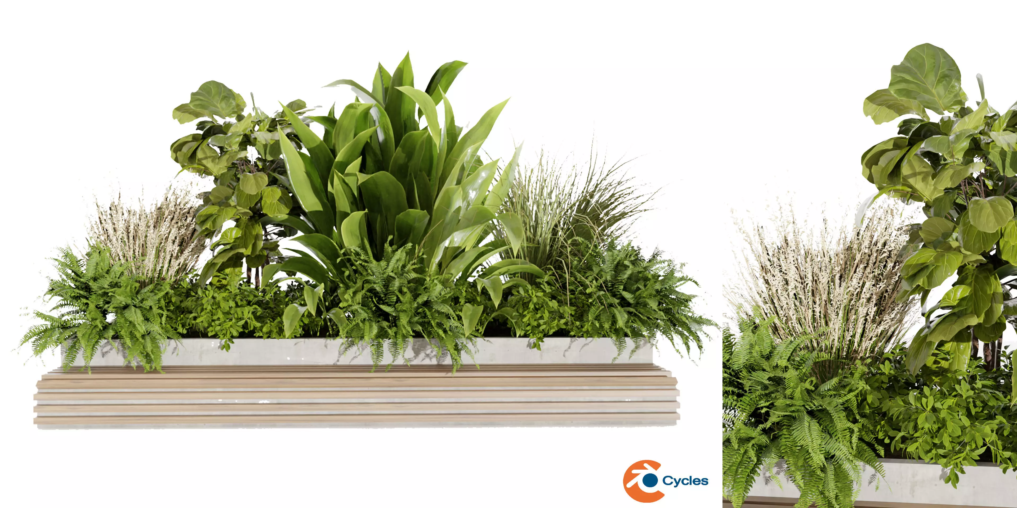 Collection plant vol 496 - garden - banana - blender model 3D model_0