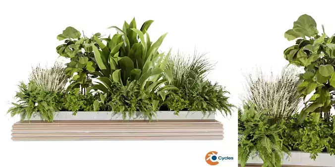 Collection plant vol 496 - garden - banana - blender model