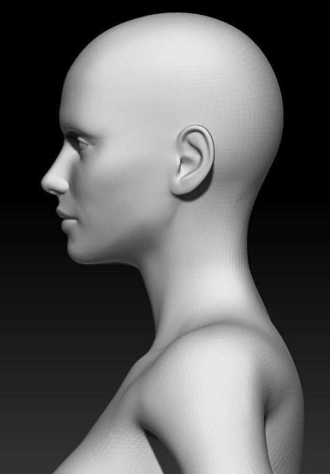 Female Base Mesh 17 3D model_6