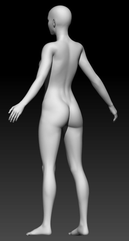 Female Base Mesh 17 3D model_3