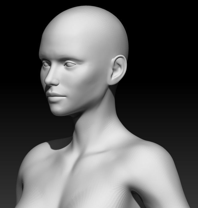 Female Base Mesh 17 3D model_5