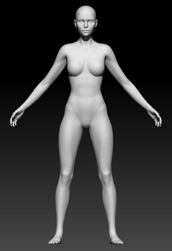 Female Base Mesh 17 3D model_1