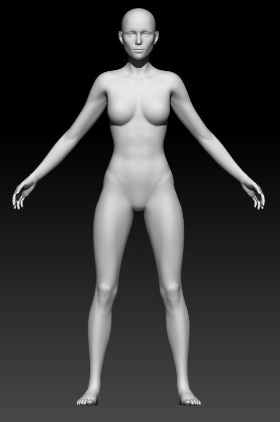 Female Base Mesh 18 3D model_1