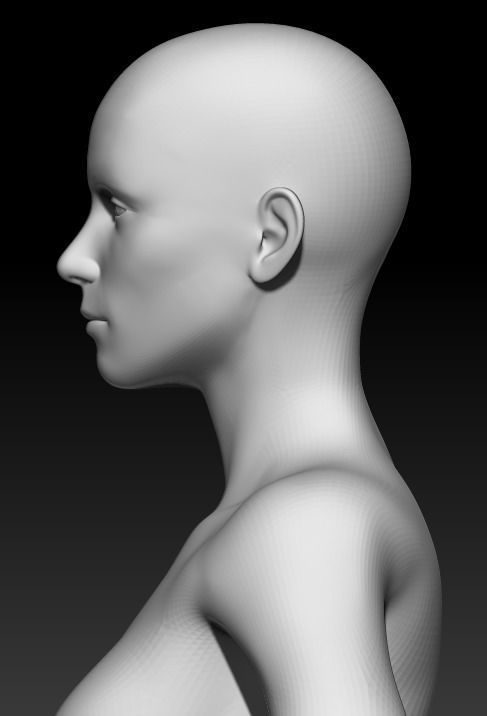 Female Base Mesh 18 3D model_6