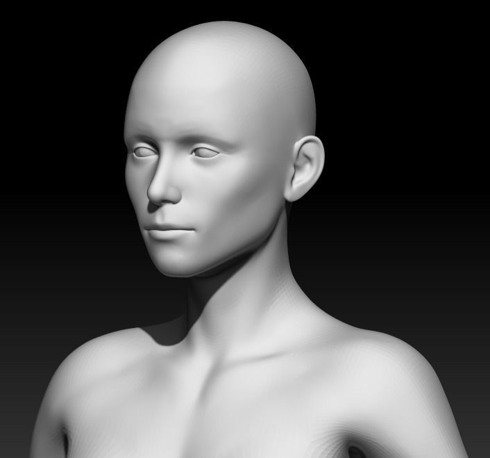 Female Base Mesh 18 3D model_5