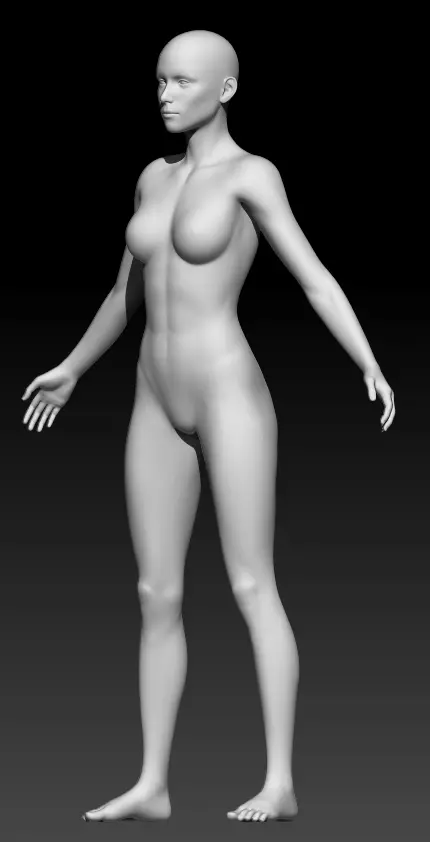 Female Base Mesh 18 3D model_0