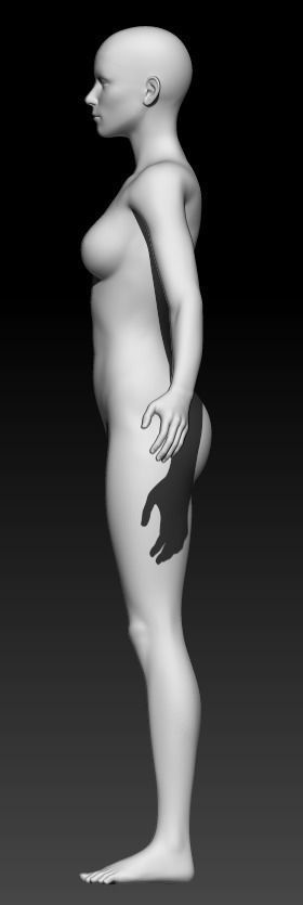 Female Base Mesh 18 3D model_2