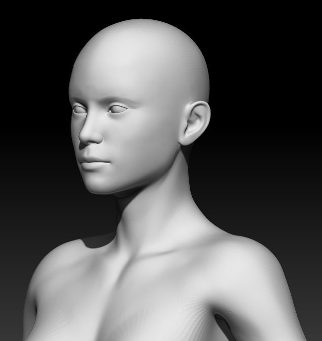 Female Base Mesh 19 3D model_5