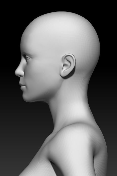 Female Base Mesh 19 3D model_6