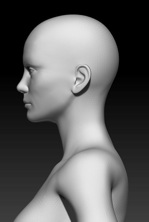 Female Base Mesh 20 3D model_6