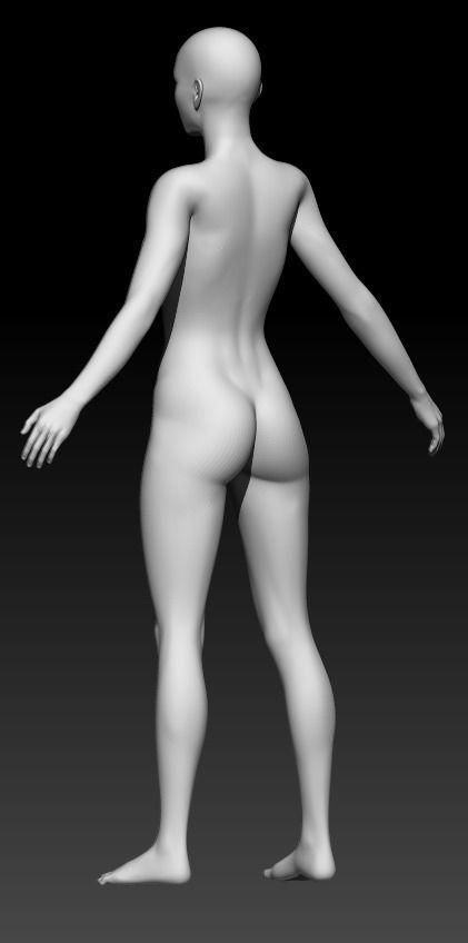 Female Base Mesh 20 3D model_3