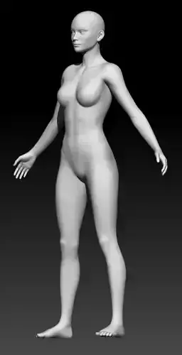 Female Base Mesh 20 3D model Female Base Mesh 20 3D model