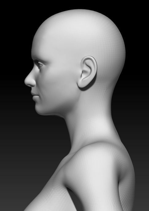 Female Base Mesh 21 3D model_6