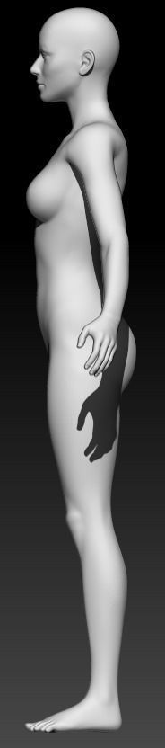 Female Base Mesh 22 3D model_3