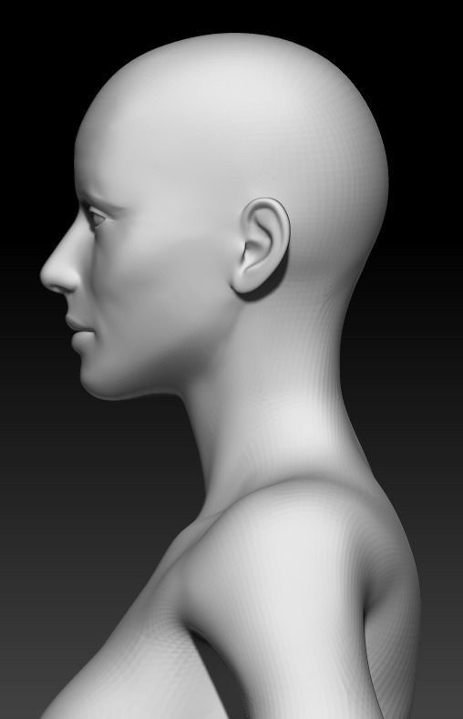 Female Base Mesh 22 3D model_6