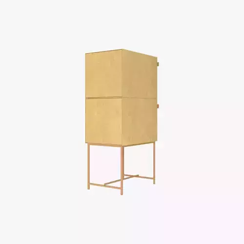 CABINET 003