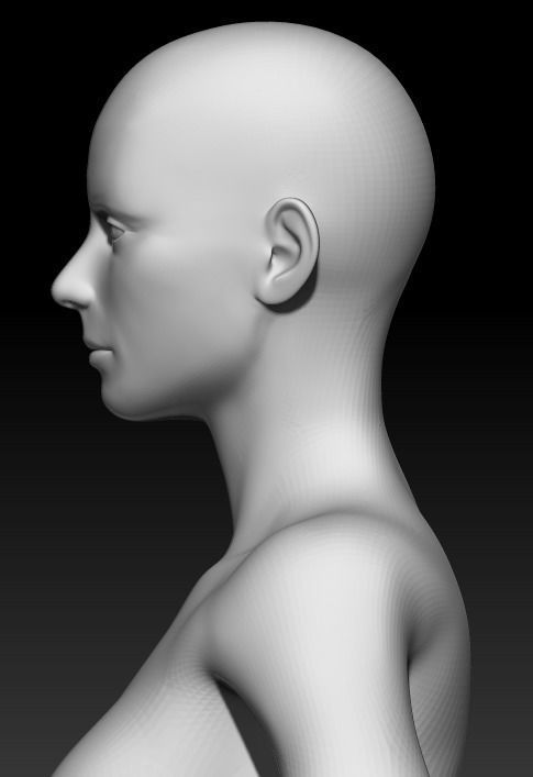 Female Base Mesh 23 3D model_6