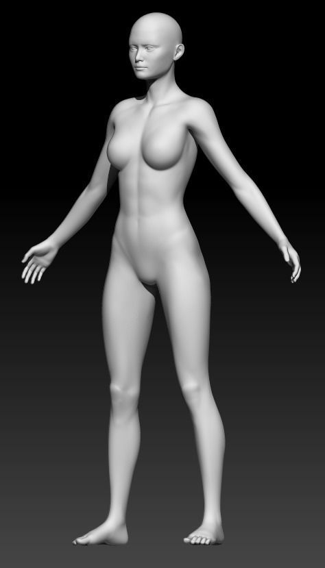Female Base Mesh 24 3D model_1