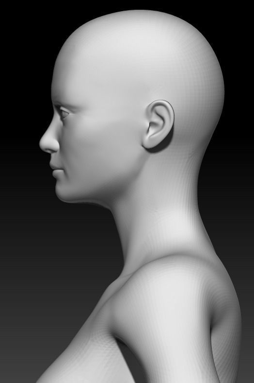 Female Base Mesh 24 3D model_6