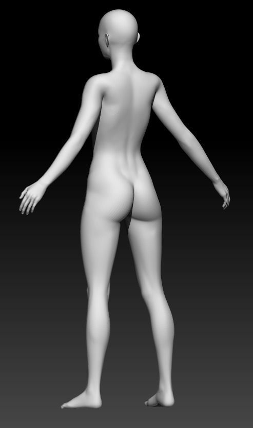 Female Base Mesh 24 3D model_4