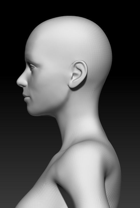 Female Base Mesh 25 3D model_6