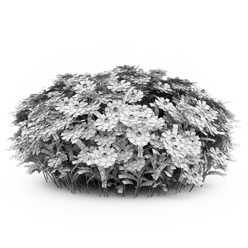 Yellow Sneezeweed 3D model_2